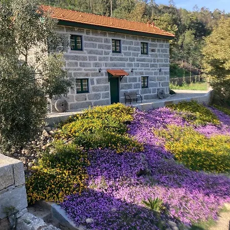 Quinta De Varzielas - Agroturismo Castelo de Paiva Exterior photo