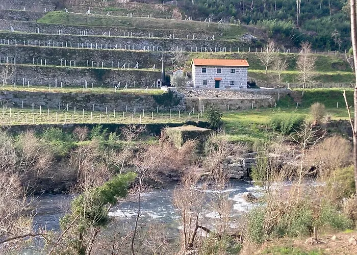Quinta De Varzielas - Agroturismo