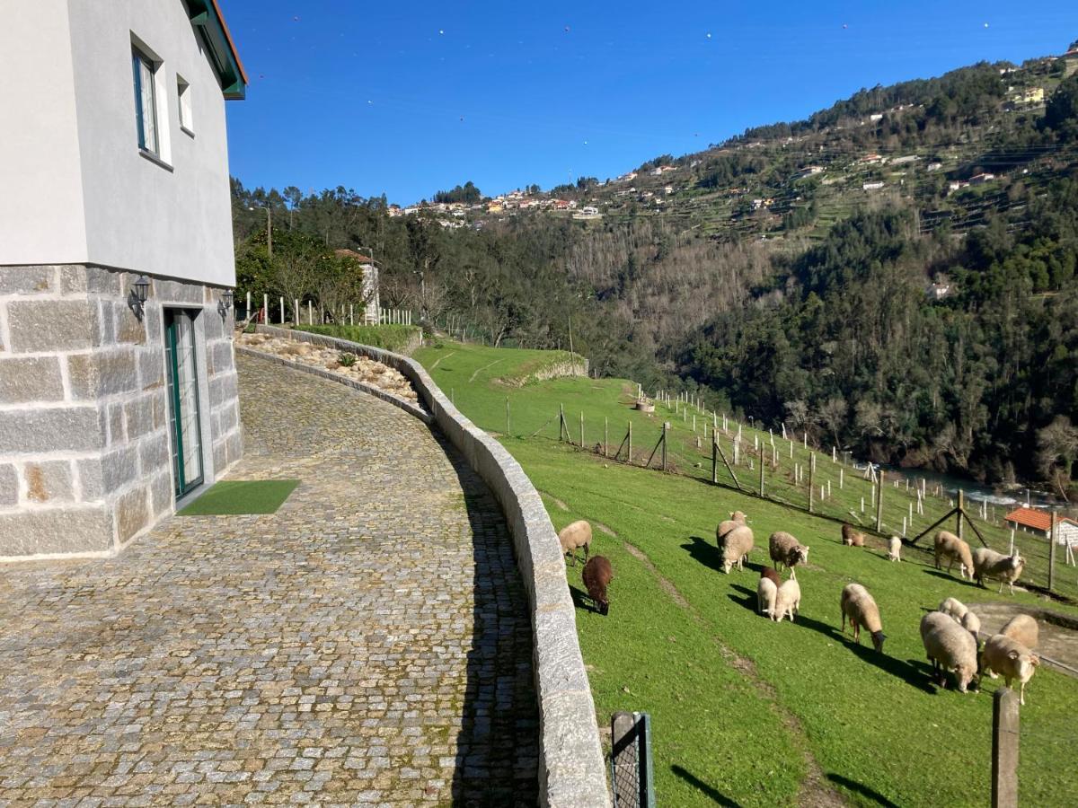 Quinta De Varzielas - Holiday home Castelo de Paiva