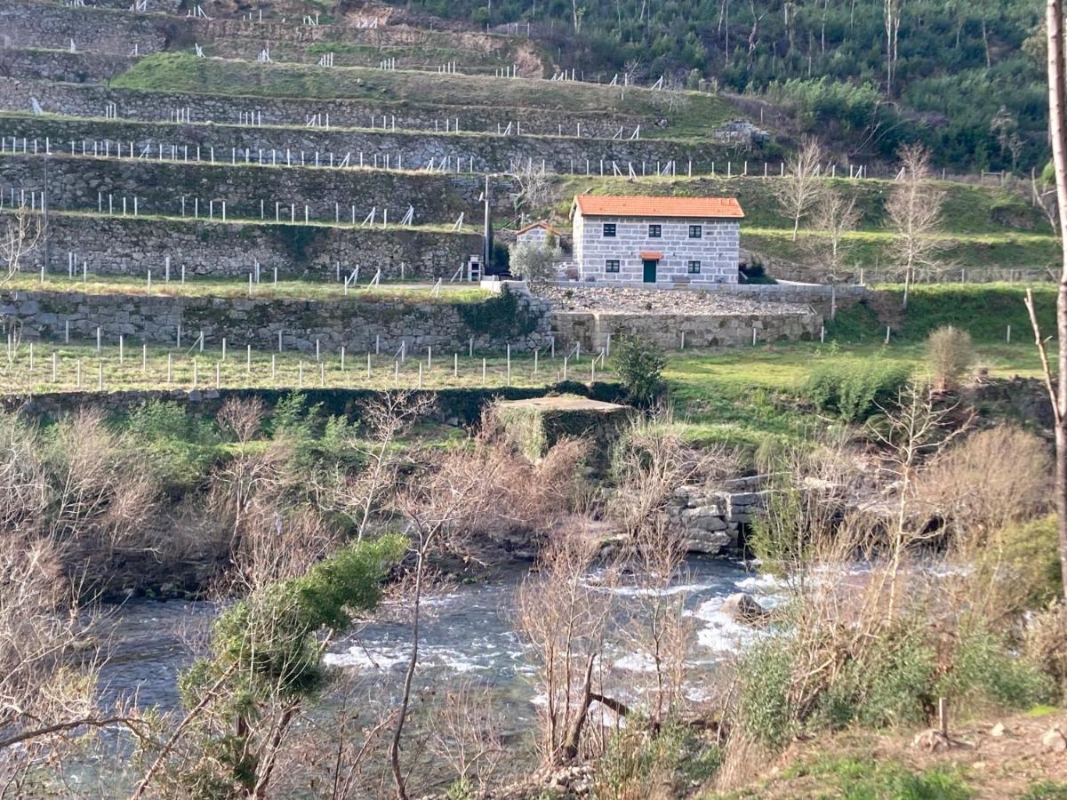 Quinta De Varzielas - * Castelo de Paiva
