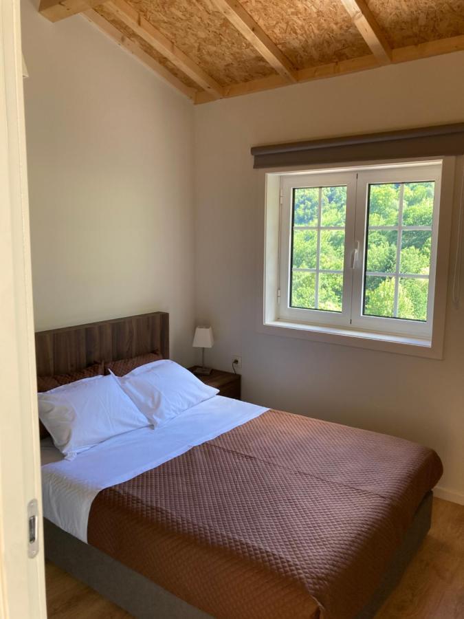 Quinta De Varzielas - * Castelo de Paiva