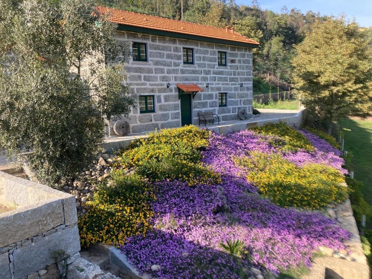 Quinta De Varzielas - Holiday home
